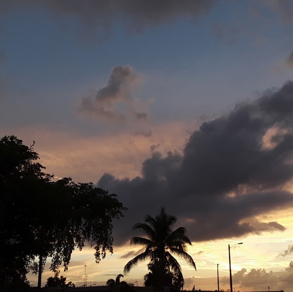 Meet your Posher, Yara - Picture 1 of 1